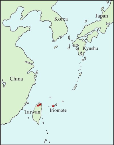 Asarum yaeyamense distribution